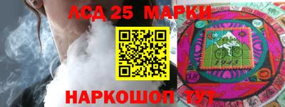 МДПВ Новозыбков