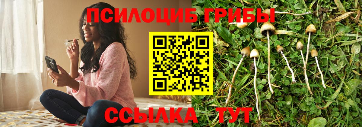 Чита  купить закладку  Вход с VPN  Псилоцибиновые грибы мухоморы 