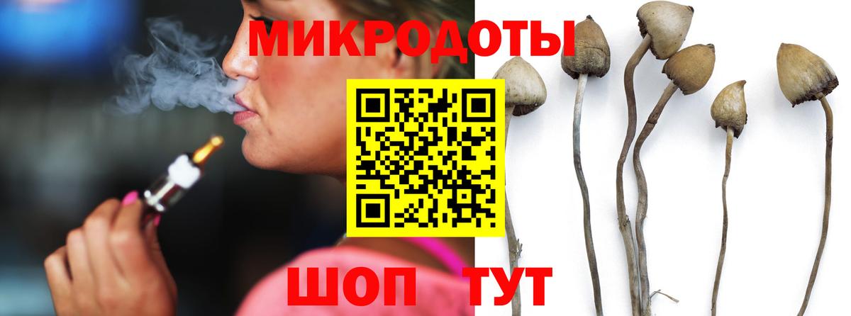 Псилоцибиновые грибы Psilocybine cubensis Чита